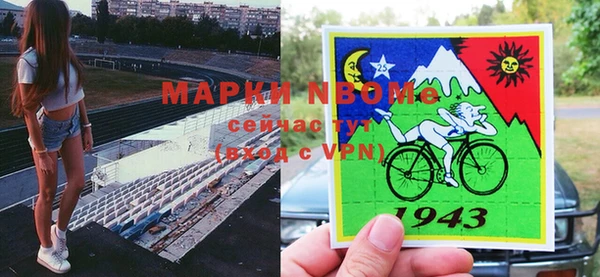 гашик Алзамай