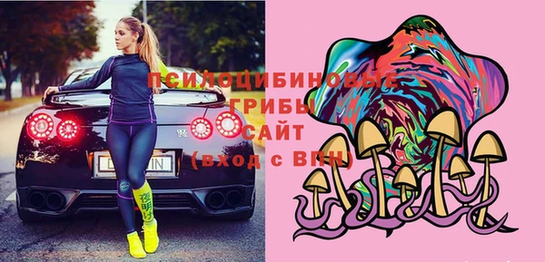бошки Алексин