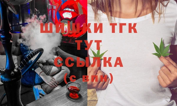 твердый Абаза