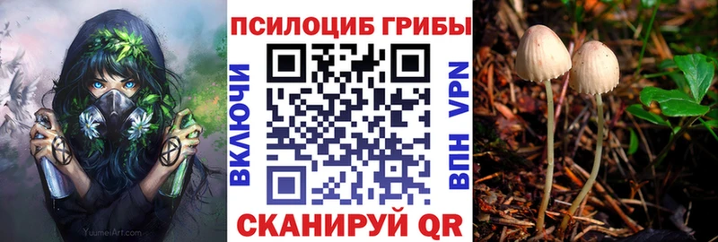 Галлюциногенные грибы мицелий  ОМГ ОМГ   Темрюк 