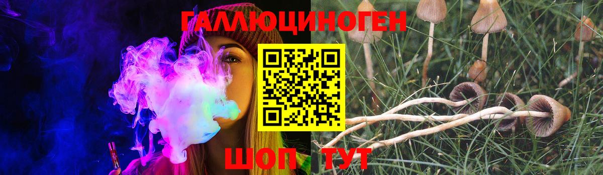 Галлюциногенные грибы MAGIC MUSHROOMS Темрюк